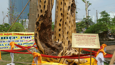 img206_tramhuong