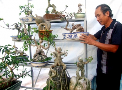 img206_bonsai_2m