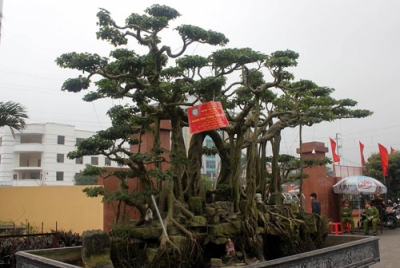 img206_hangkhung