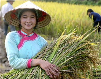 img206_laocai12